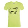 SOL'S Ladies Regent T-Shirt Thumbnail